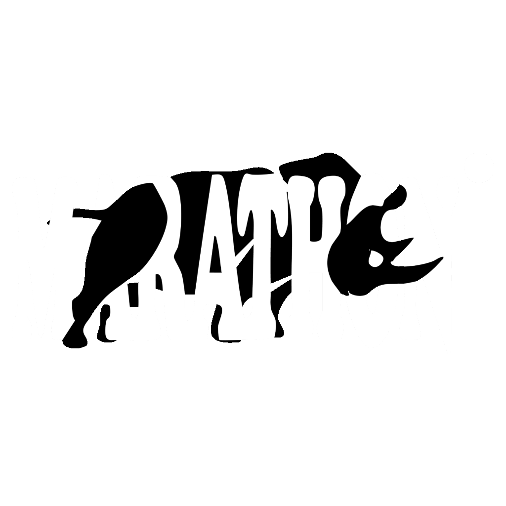 logo byn 2otito